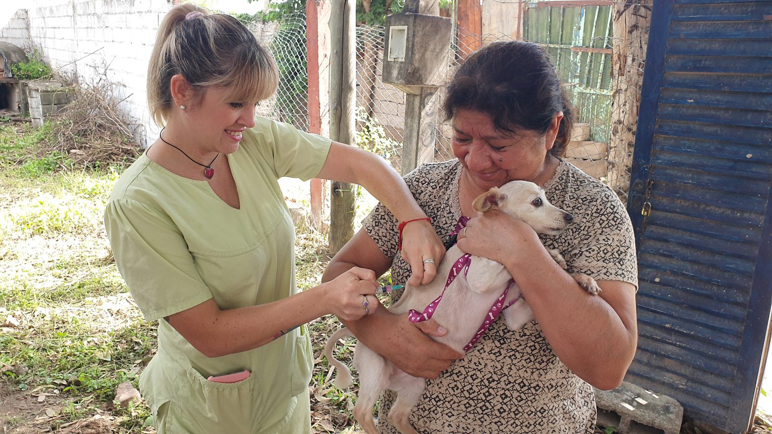 Así es el conograma de vacunación antirrabica de esta semana