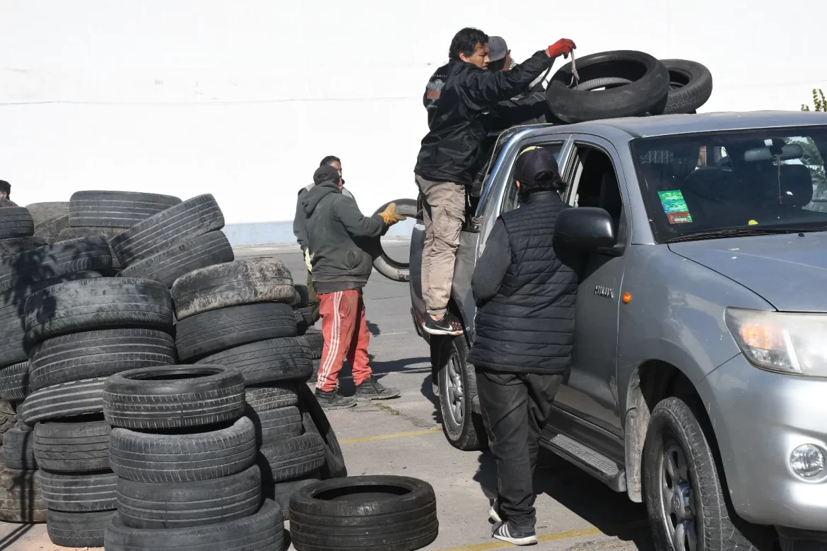 Gestión ambiental: se recolectaron 1.200 toneladas de neumáticos en desuso