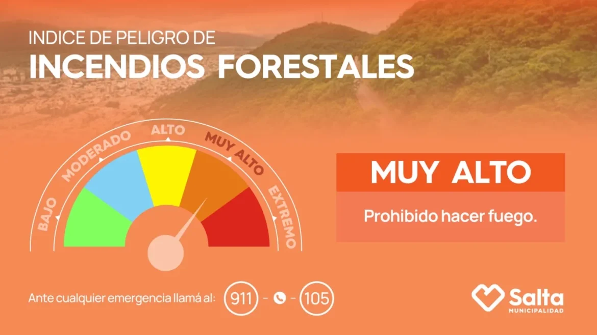 Alerta por fuertes vientos: piden extremar los cuidados para prevenir incendios forestales en la ciudad
